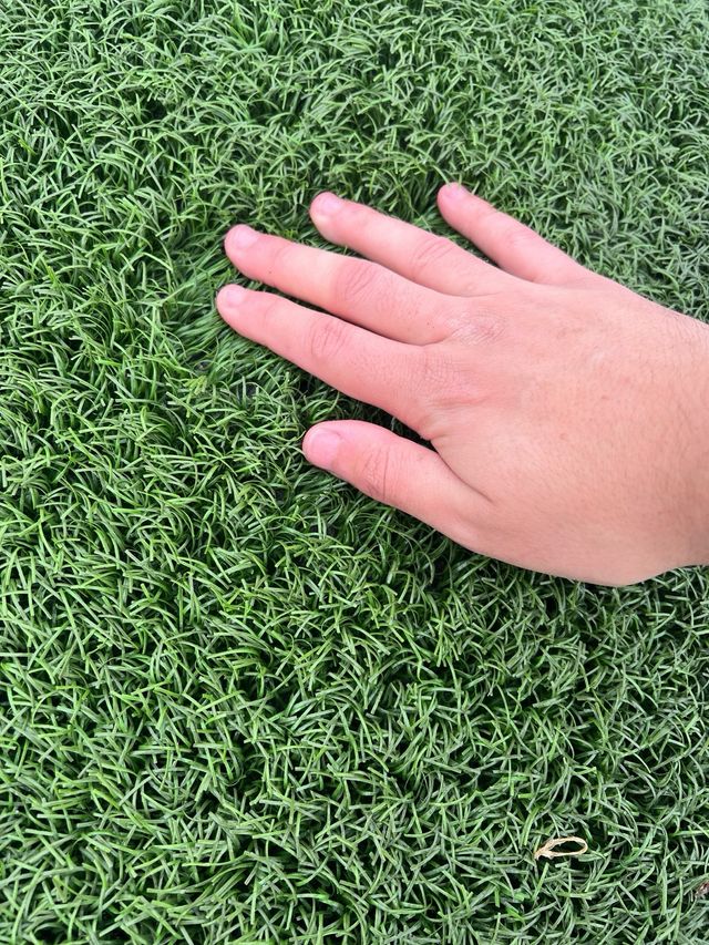 Cesped artificial economico