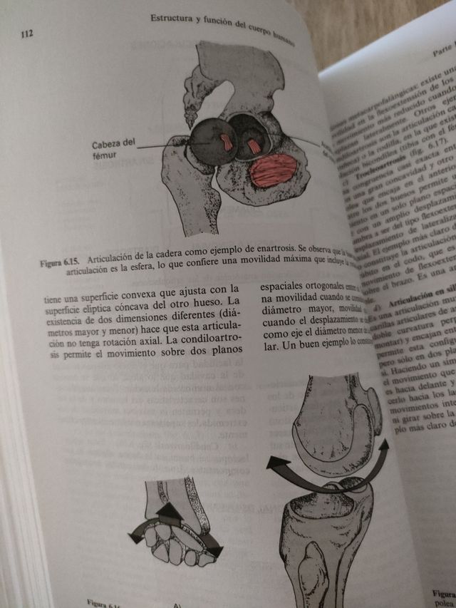 Libro de Anatomía .MC Graw Hill