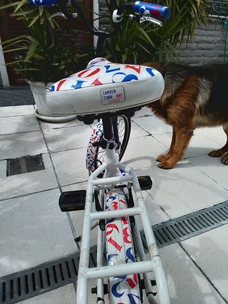 Bici pieghevole REGINA CAMDEN TOWN