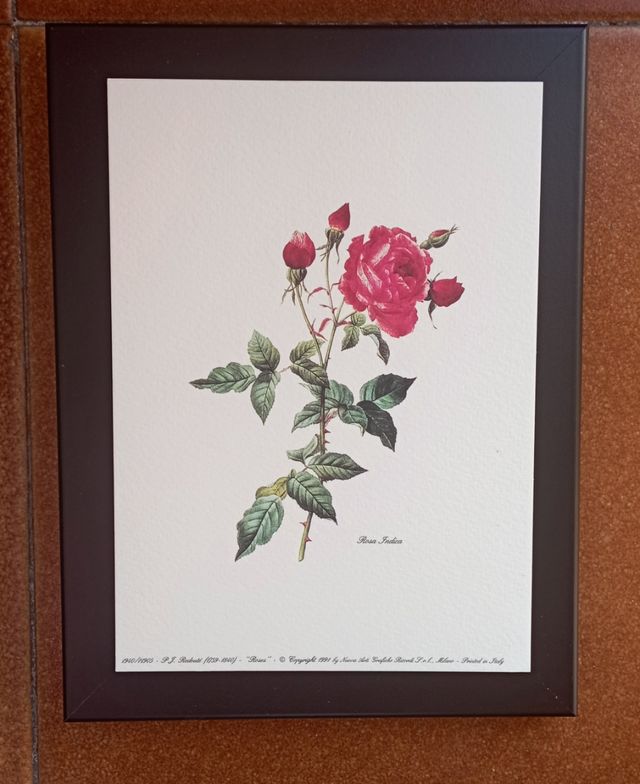 Coppia Vintage Rose 13x18 in cornice nera