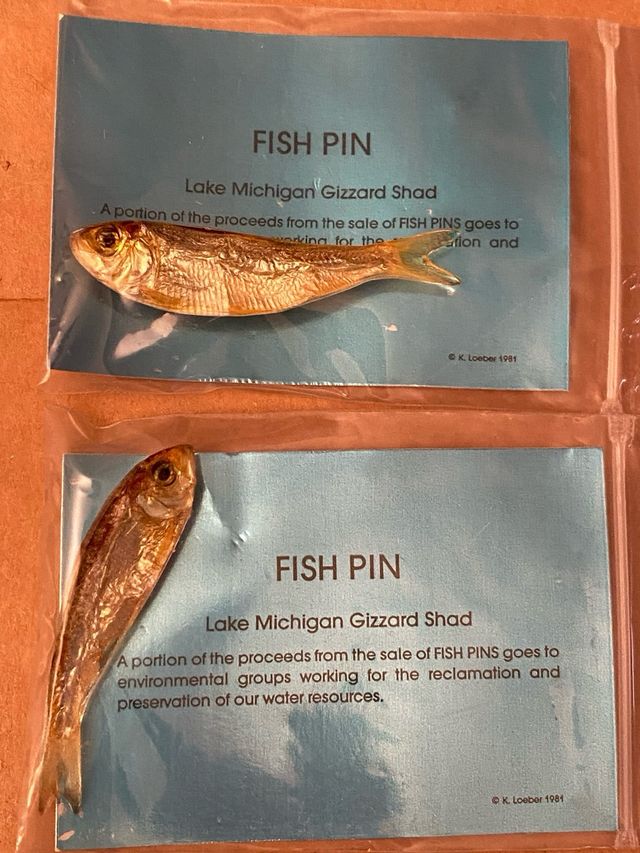 Spillette con pesci essiccati