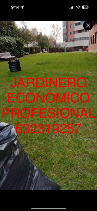 JARDINERO ECONOMICO PROFESIONAL