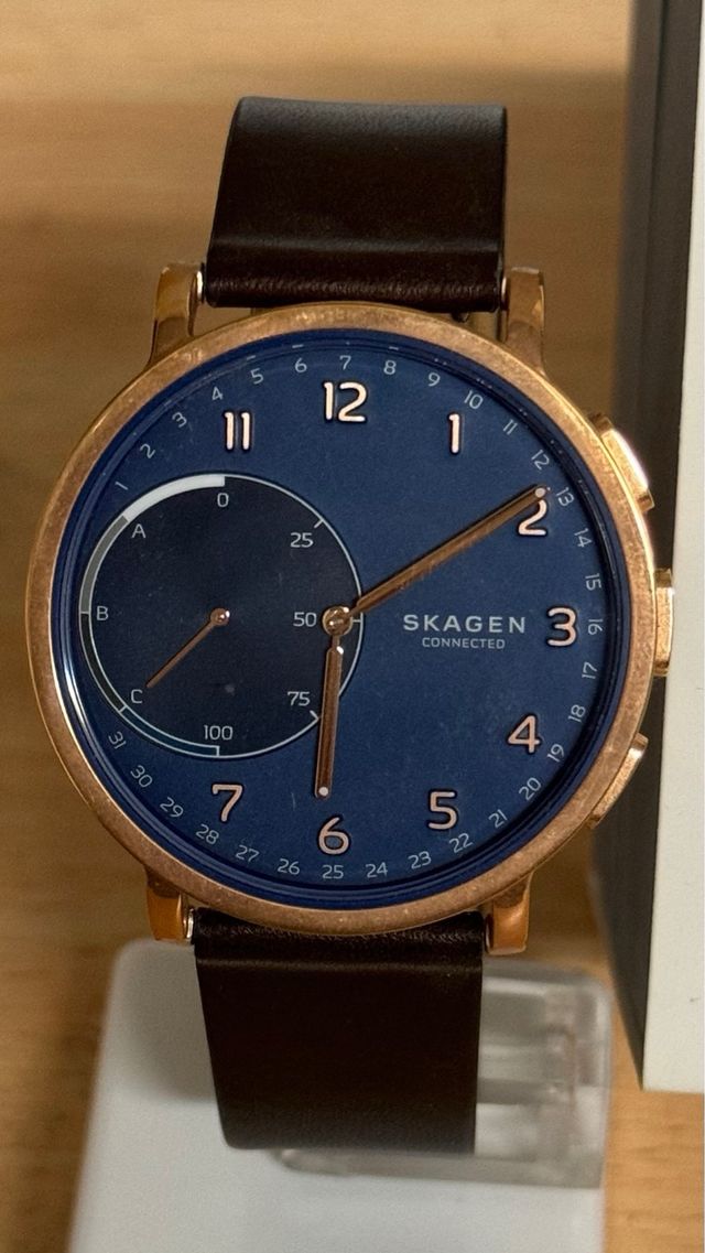 Reloj skagen SKT1103