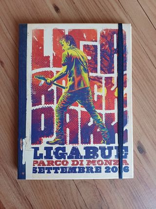 Special Box Ligabue