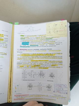 Apuntes cuidados básicos enfermería