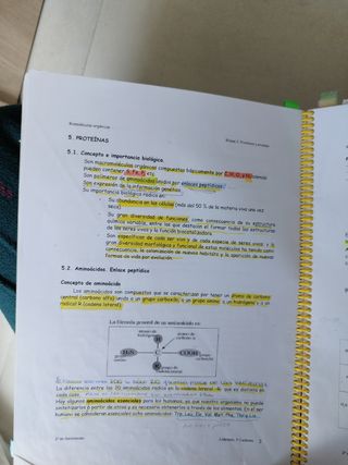 Apuntes cuidados básicos enfermería