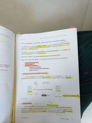 Apuntes cuidados básicos enfermería