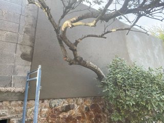 Servicio de Construccion y Reformas