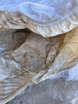 Protector polar rueda