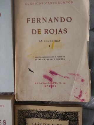 Lote de 6 Libros Clásicos Literatura Esp