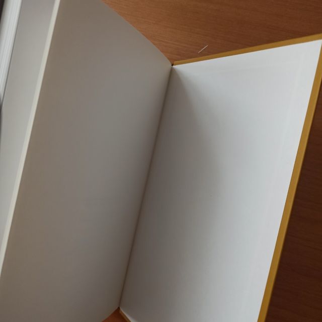 Niños sobreestimulados - Alicia Banderas