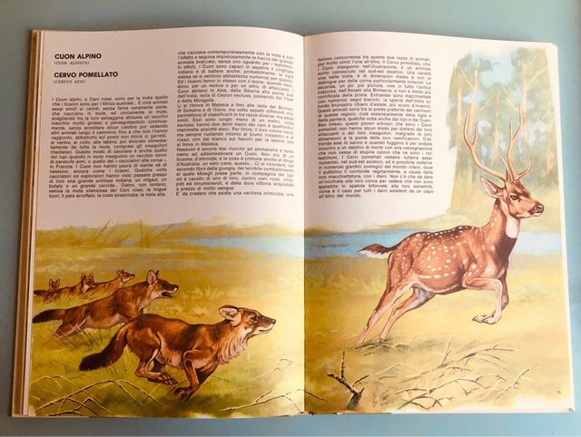 Volumi Enciclopedia 1960 design vintage