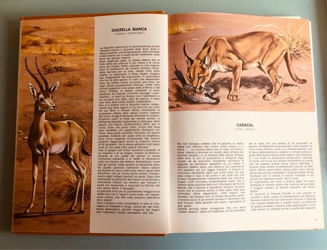 Volumi Enciclopedia 1960 design vintage