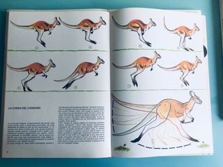 Volumi Enciclopedia 1960 design vintage