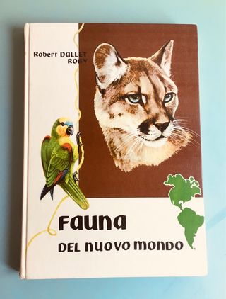 Volumi Enciclopedia 1960 design vintage