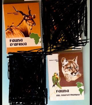 Volumi Enciclopedia 1960 design vintage