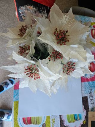 Maceta fibra óptica flor de Pascua