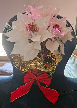 Maceta fibra óptica flor de Pascua