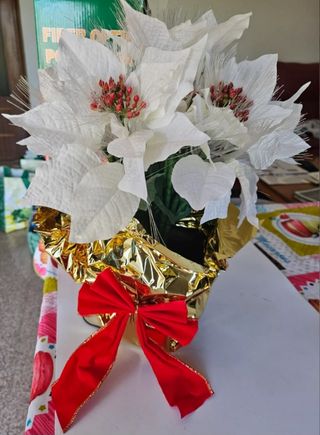 Maceta fibra óptica flor de Pascua