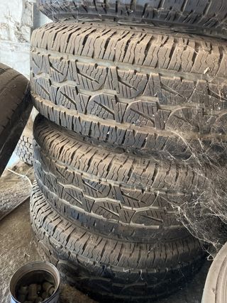 Ruedas y llantas land cruiser