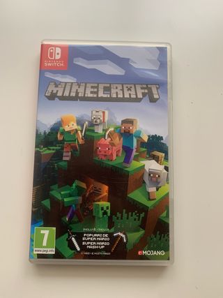 Minecraft Nintendo Swich