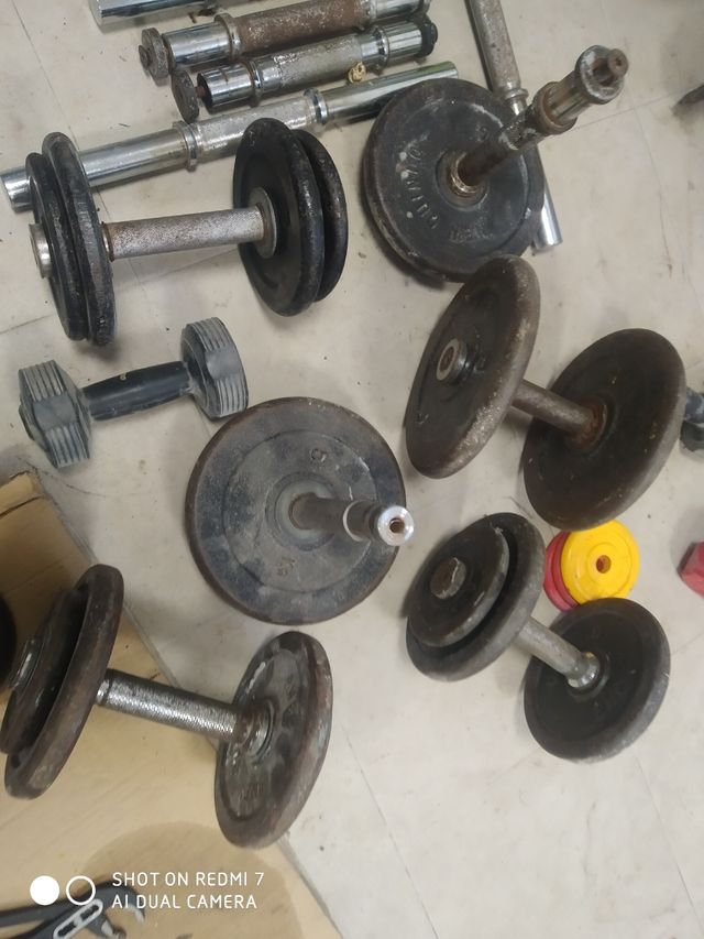 Pesas de gimnasio