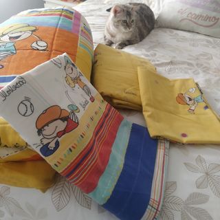 Edredón y juego de cama a juego