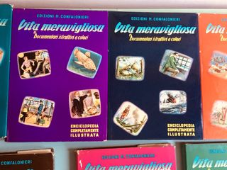 11 volumi encicolpedia 1960