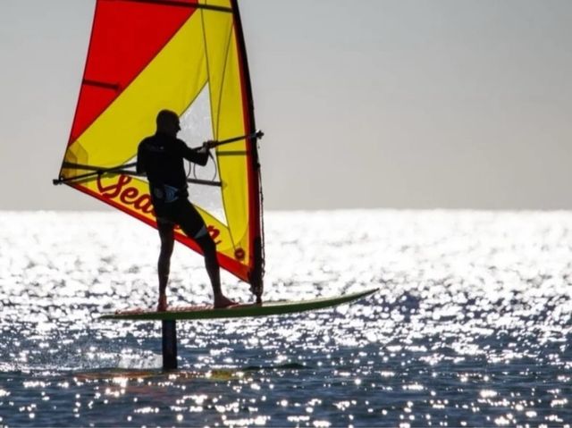 Tabla surf/ sup/windsurf Sea Lion