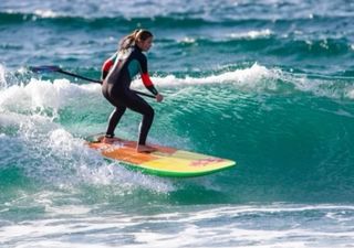 Tabla surf/ sup/windsurf Sea Lion