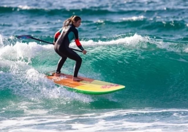 Tabla surf/ sup/windsurf Sea Lion