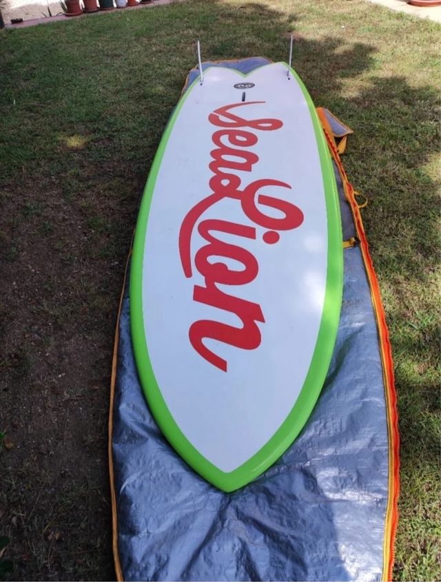 Tabla surf/ sup/windsurf Sea Lion