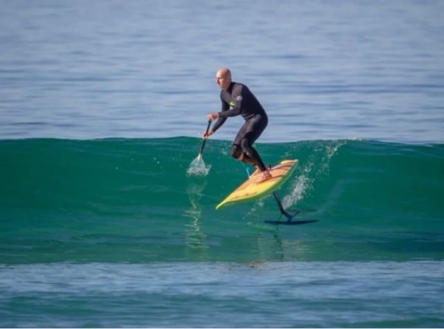 Tabla surf/ sup/windsurf Sea Lion