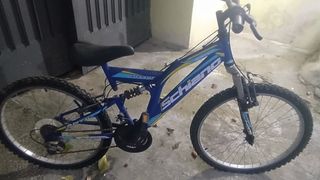 Bicicletta Schiano