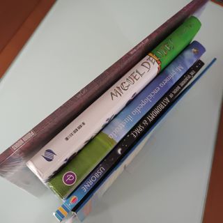 INFANTIL JUVENIL - GRAN FORMATO. 5 Libros