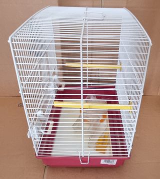 Gabbia per uccelli gabbietta per uccellini metallo