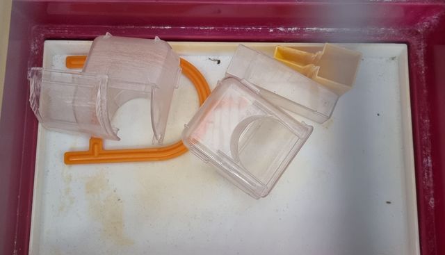 Gabbia per uccelli gabbietta per uccellini metallo