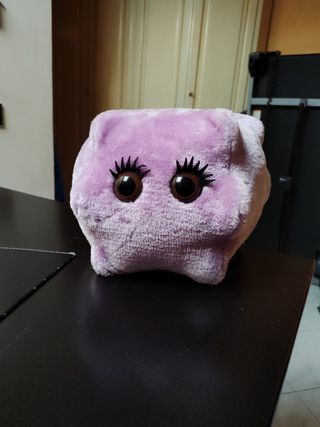 Peluche 
