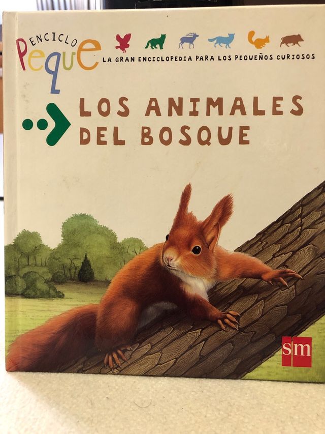 Libro infantil educativo “Los animales del Bosque”