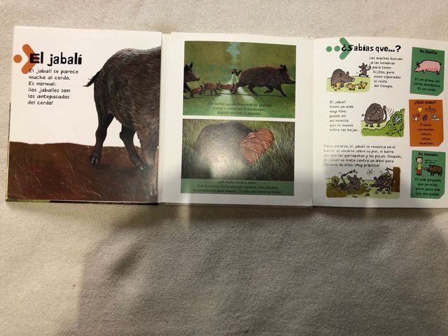 Libro infantil educativo “Los animales del Bosque”