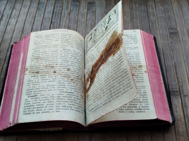 🇪🇸 1941 Misal Cotidiano de los Fieles ✝️📿