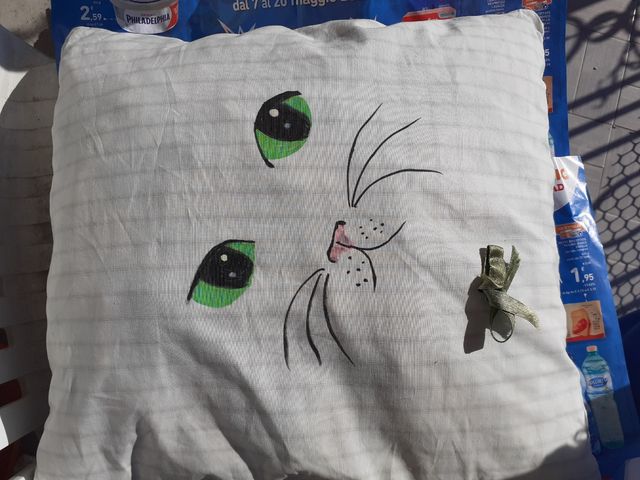 Cuscino gatto