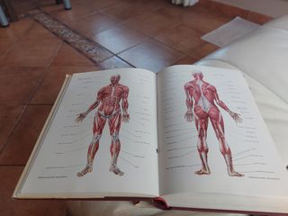 Libro consejero medico