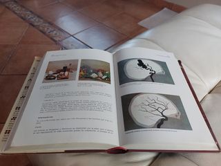 Libro consejero medico