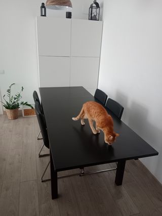 Mesa y sillas comedor