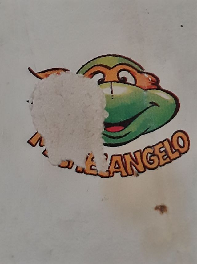 Pequeño libro Tortugas Nknja