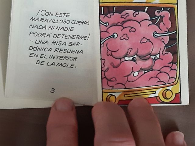 Pequeño libro Tortugas Nknja