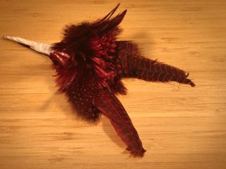 plumas