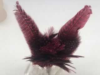 plumas