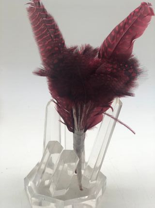 plumas